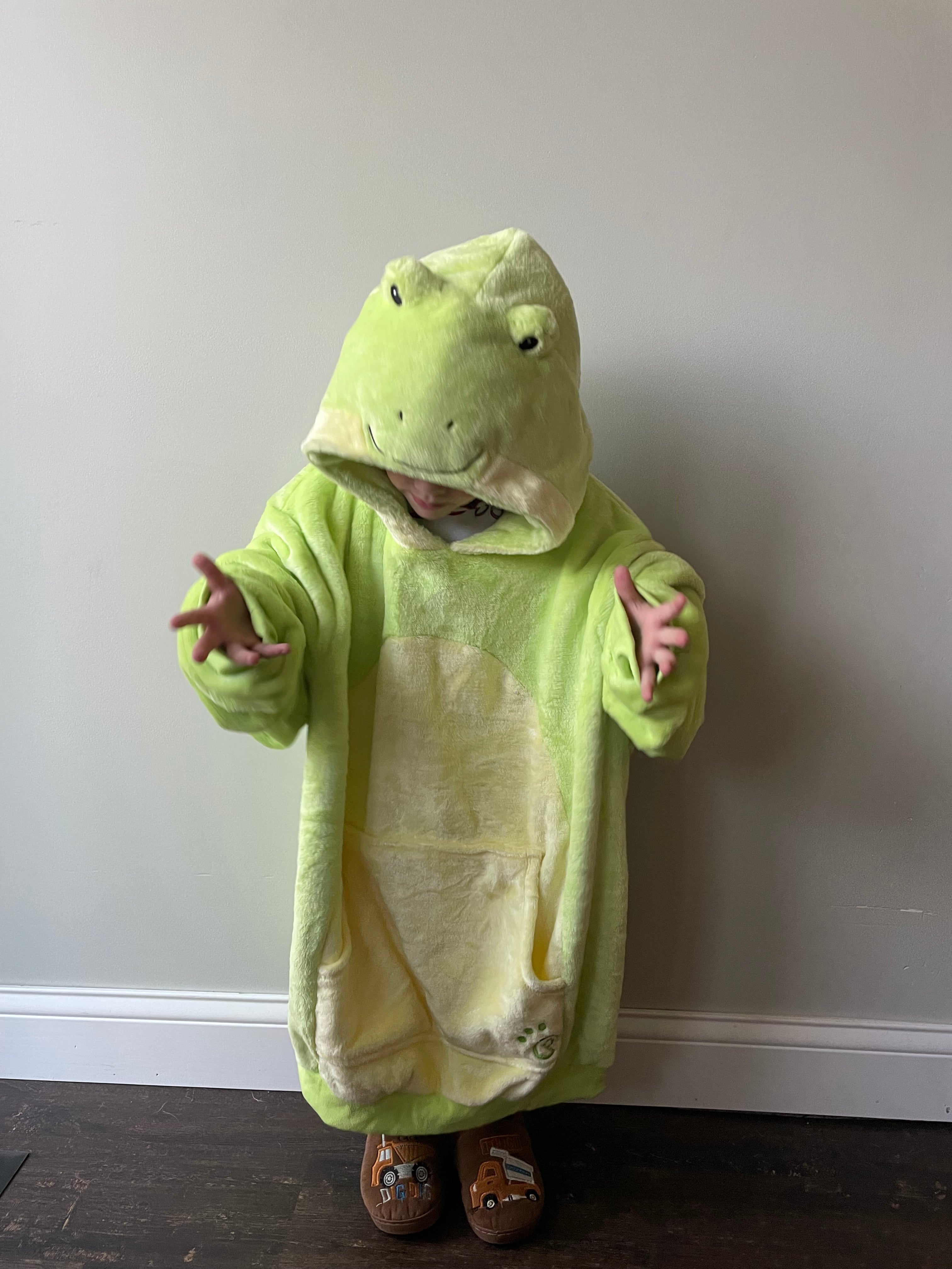 Fren Frog Bundle Snugible | Frog Blanket Hoodie & Pillow Set