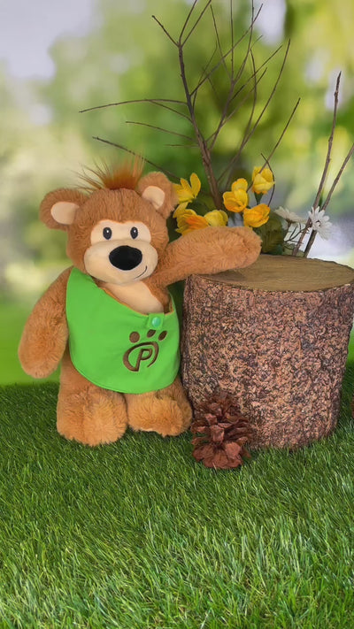 Pawley the Bear Plushie with Matching Bags and Storybook travel & adventure!